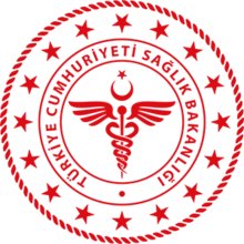 Ankara Cam Filmi